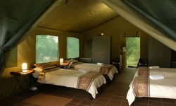 BUSH WILLOW TENTED CAMP