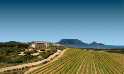 DURBANVILLE HILLS WINES