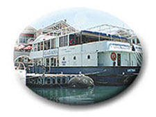 THE ALABAMA