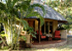 SEFAPANE LODGE & SAFARIS