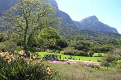 KIRSTENBOSCH GARDEN, OLD MUTUAL CONFERENCE CENTRE