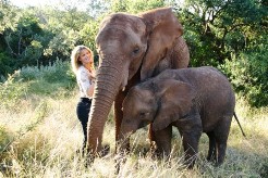 THE ELEPHANT SANCTUARY THE ELEPHANT SANCTUARY