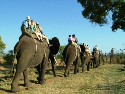 THORNTREE RIVER LODGE