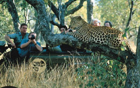 SABI SABI PRIVATE GAME RESERVE