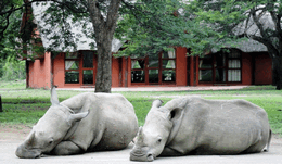 THULA THULA PRIVATE GAME RESERVE THULA THULA PRIVATE GAME RESERVE
