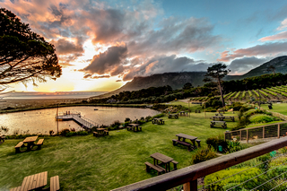 CAPE POINT VINEYARDS