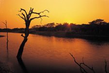 BONAMANZI GAME RESERVE BONAMANZI GAME RESERVE