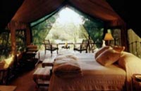 TANDA TULA BUSH CAMP