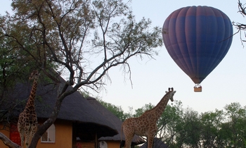 CRADLE MOON LAKESIDE GAME LODGE