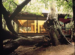 ANDBEYOND PHINDA PRIVATE GAME RESERVE ANDBEYOND PHINDA PRIVATE GAME RESERVE